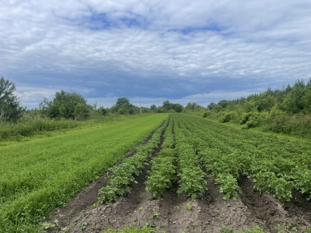 Купить дом в Рязани. Вариант № 4913, 8, площадь -  квм, цена 4500000 рублей