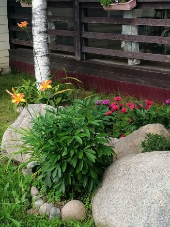 Купить дом в Санкт-Петербурге. Вариант № 15047, 13, площадь -  квм, цена 18000000 рублей