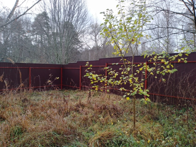 Купить земельный участок в Тверской области. Вариант № 9827934, 6, площадь -  квм, цена 2500000 рублей