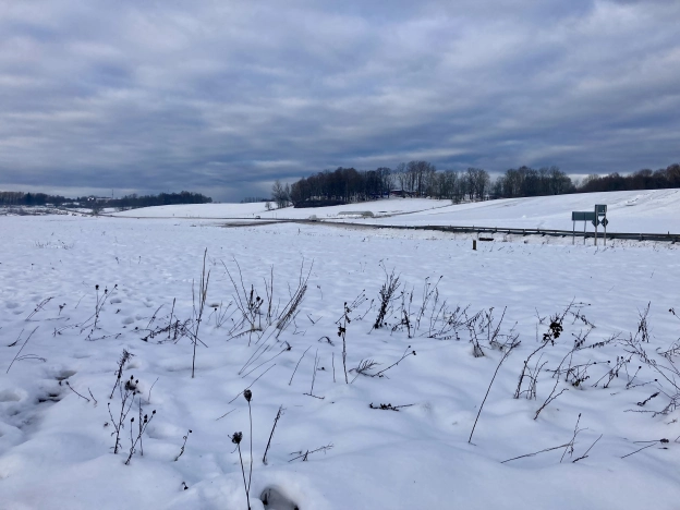 Купить земельный участок в Калининграде. Вариант № 4116, 14, площадь -  квм, цена 5760000 рублей