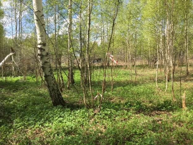 Купить земельный участок на улице Визитная в Владимире. Вариант № 1988, 1, площадь -  квм, цена 665500 рублей