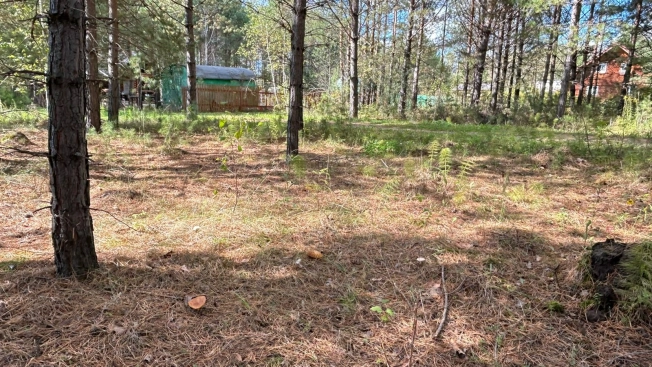 Купить земельный участок в Тюменской области. Вариант № 3904804, 40, площадь -  квм, цена 1500000 рублей