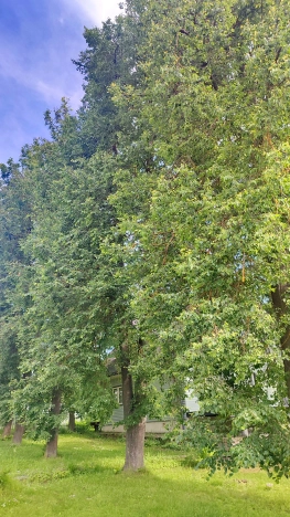 Купить дом в Калуге. Вариант № 8528, 8, площадь -  квм, цена 10990000 рублей