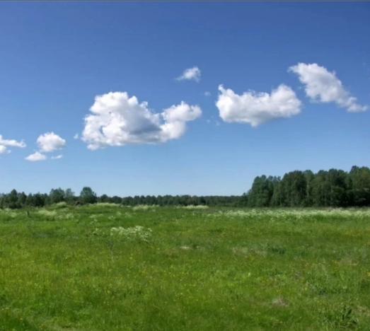 Купить земельный участок на улице Загородная в Ярославской области. Вариант № 15254, 0, площадь -  квм, цена 500000 рублей