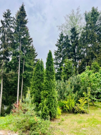 Купить таунхаус в Москве. Вариант № 31014, 25, площадь -  квм, цена 15990000 рублей