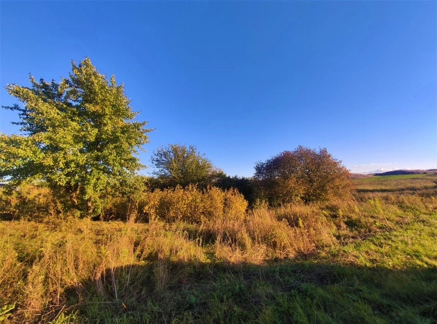 Купить земельный участок в Владимире. Вариант № 9261450, 2, площадь -  квм, цена 468000 рублей