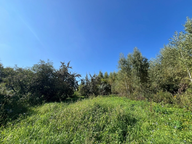 Купить земельный участок в Коломне. Вариант № 2674, 2, площадь -  квм, цена 485000 рублей