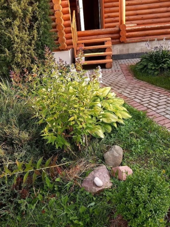 Купить дом в Москве. Вариант № 9961764, 3, площадь -  квм, цена 12500000 рублей