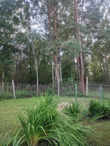 Купить дачу в Москве. Вариант № 7645049, 23, площадь -  квм, цена 4200000 рублей