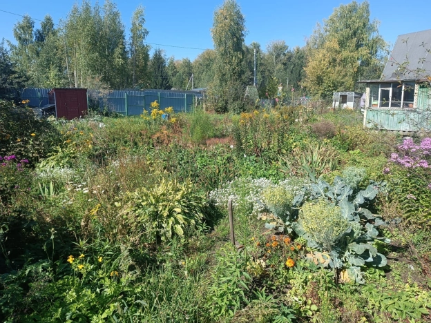 Купить земельный участок в Искитиме. Вариант № 2932860, 7, площадь -  квм, цена 700000 рублей