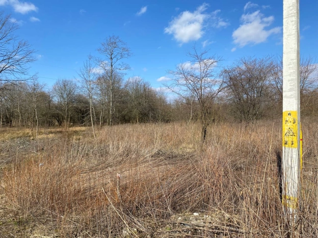 Купить земельный участок в Калининградской области. Вариант № 32240, 5, площадь -  квм, цена 2700000 рублей