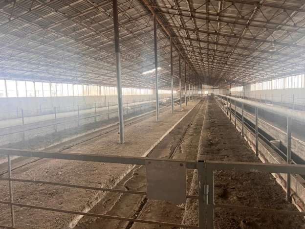 Купить земельный участок в Таганроге. Вариант № 24758, 2, площадь -  квм, цена 25000000 рублей