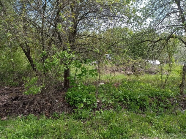 Купить земельный участок в Пензе. Вариант № 7550, 8, площадь -  квм, цена 980000 рублей