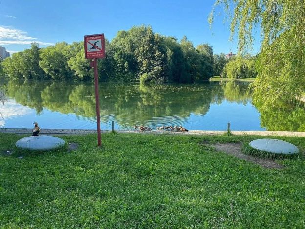 Купить квартиру в Москве. Вариант № 10169149, 12, площадь -  квм, цена 25000000 рублей