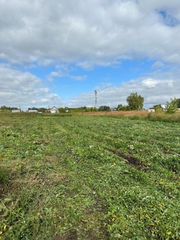 Купить земельный участок в Стерлитамаке. Вариант № 5311, 6, площадь -  квм, цена 550000 рублей