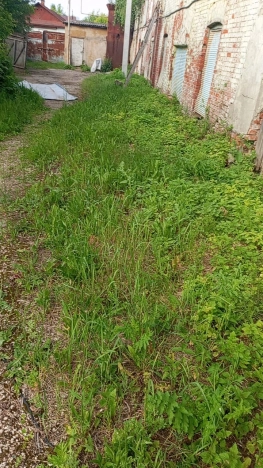 Купить земельный участок на улице 1 Мая в Нижегородской области. Вариант № 53060, 3, площадь -  квм, цена 4500000 рублей