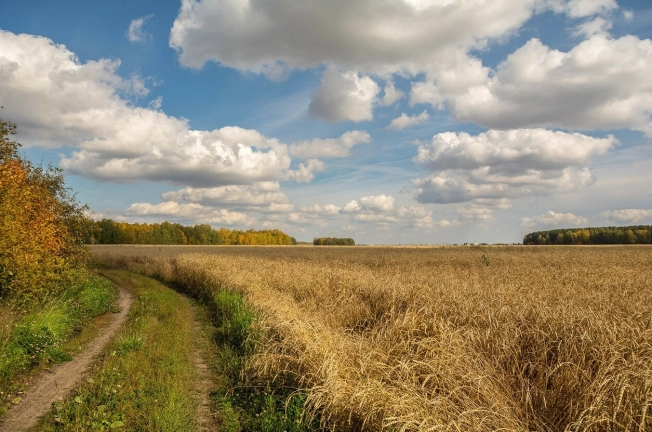 Купить земельный участок в Собинке. Вариант № 4875, 2, площадь -  квм, цена 920000 рублей