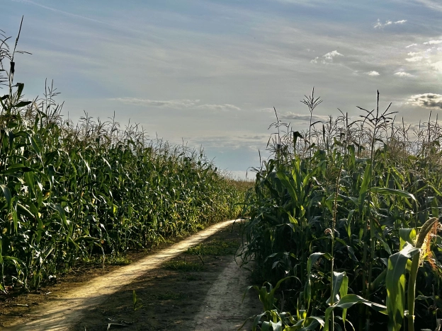 Купить земельный участок в Коломне. Вариант № 2171947, 15, площадь -  квм, цена 1099000 рублей