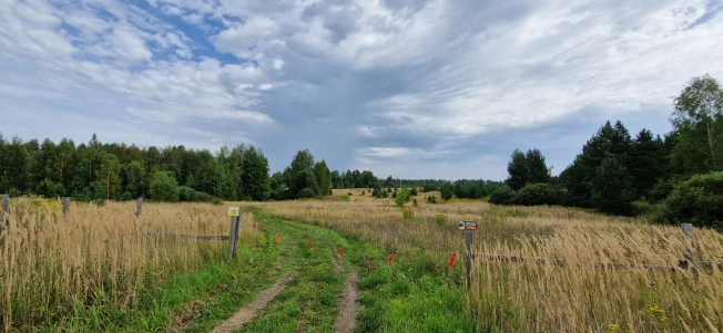 Купить земельный участок на улице 8-я линия в Нижегородской области. Вариант № 5522023, 28, площадь -  квм, цена 7800000 рублей