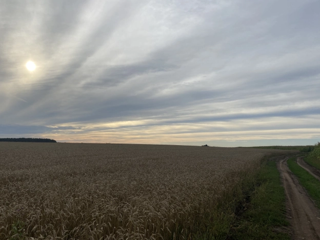 Купить земельный участок в Ярославской области. Вариант № 7326, 5, площадь -  квм, цена 2360000 рублей