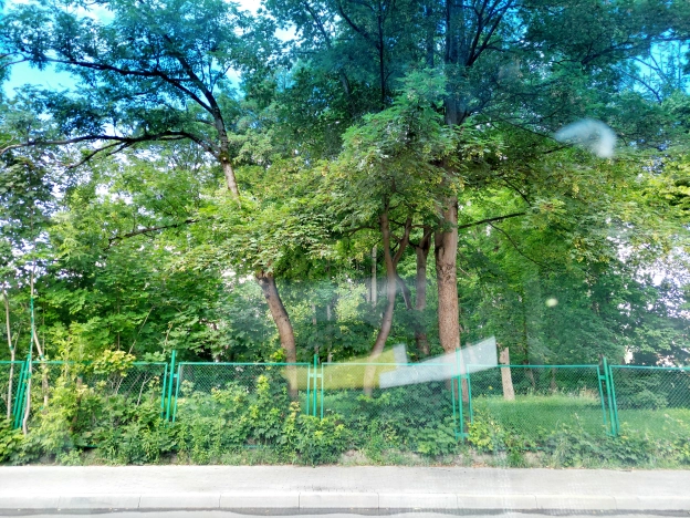 Купить комнату в Калининграде. Вариант № 552, 20, площадь -  квм, цена 2000000 рублей