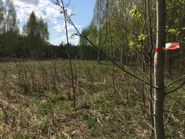 Купить земельный участок на улице Визитная в Владимире. Вариант № 1988, 4, площадь -  квм, цена 665500 рублей