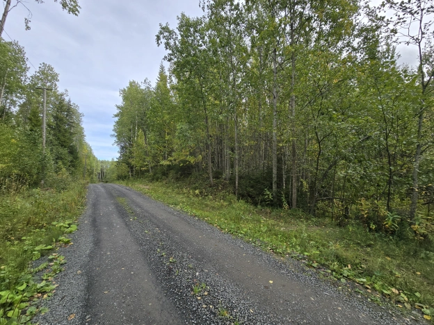 Купить земельный участок в Петрозаводске. Вариант № 3883088, 4, площадь -  квм, цена 550000 рублей