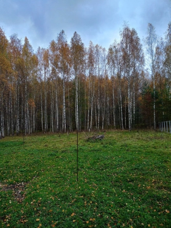 Купить земельный участок в Владимире. Вариант № 7593449, 6, площадь -  квм, цена 1200000 рублей