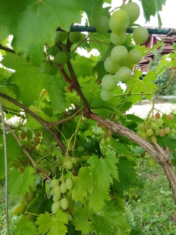 . Вариант № 1889252, 38, площадь - 118.4 квм, цена 6300000 рублей