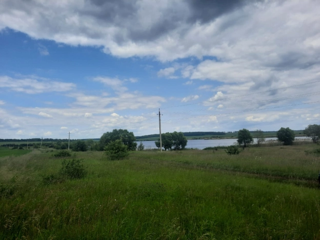 Купить коммерческую недвижимость в Белинском. Вариант № 2303, 18, площадь - квм, цена 455000000 рублей