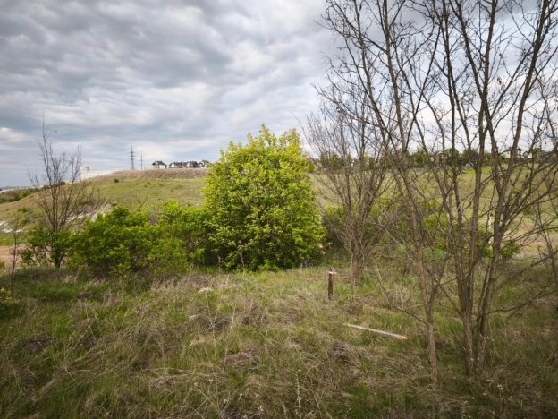Купить земельный участок в Белгородской области. Вариант № 9239493, 0, площадь -  квм, цена 25000000 рублей