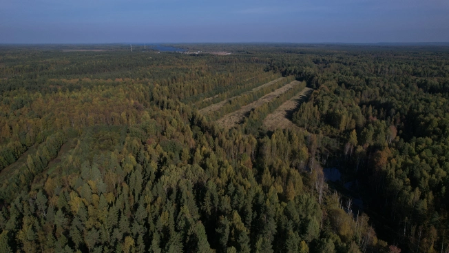 Купить земельный участок в Республике Карелия. Вариант № 13851, 24, площадь -  квм, цена 6000000 рублей