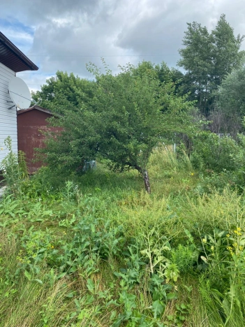 Купить дом на улице Садовая в Алтайском крае. Вариант № 59765, 22, площадь -  квм, цена 3500000 рублей