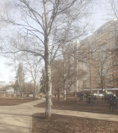 Купить квартиру в Москве. Вариант № 31245, 4, площадь - квм, цена 44400000.0000 рублей