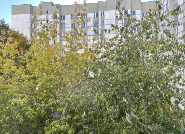 Купить однокомнатную квартиру на улице Плесецкая в Санкт-Петербурге. Вариант № 5653001, 10, площадь -  квм, цена 10815000 рублей