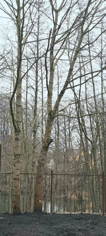 Купить двухкомнатную квартиру на улице Сержанта Мишина в Калининграде. Вариант № 27235, 7, площадь -  квм, цена 8610000 рублей