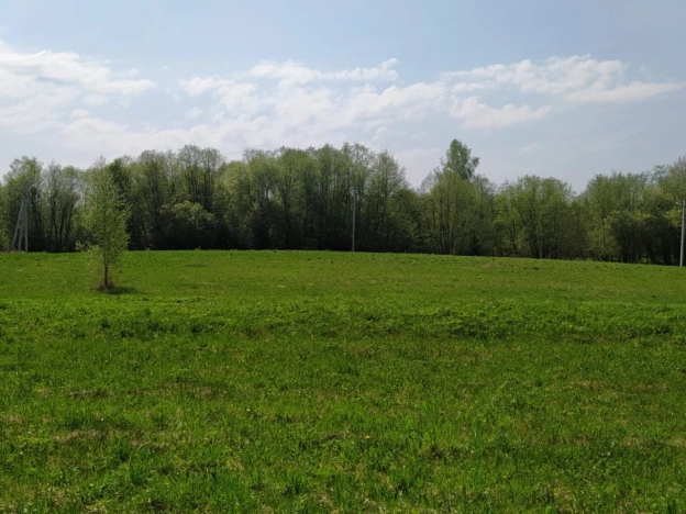 Купить земельный участок в Краснозаводске. Вариант № 972, 6, площадь -  квм, цена 1100000 рублей