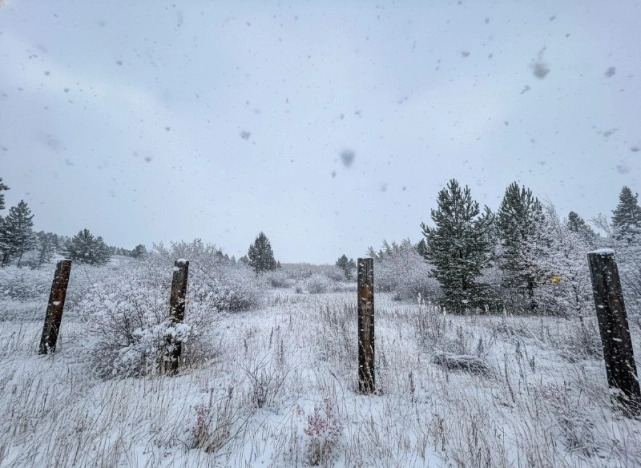 Купить земельный участок в Улан-Удэ. Вариант № 5249465, 0, площадь -  квм, цена 1500000 рублей