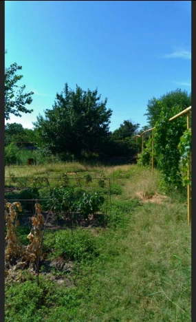 Купить дом в Таганроге. Вариант № 7088, 10, площадь -  квм, цена 5300000 рублей