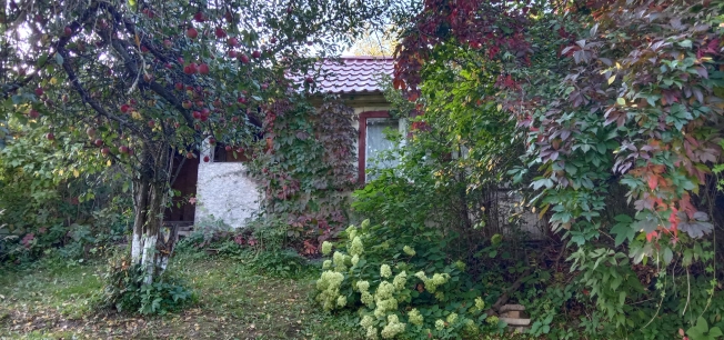 Купить дачу в Московской области. Вариант № 6628693, 15, площадь -  квм, цена 400000 рублей