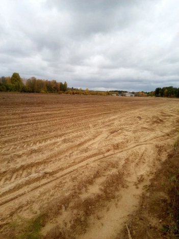 Купить земельный участок в Республике Карелия. Вариант № 20678, 2, площадь -  квм, цена 7500000 рублей