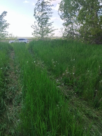 Купить земельный участок в Стерлитамаке. Вариант № 8603, 1, площадь -  квм, цена 700000 рублей