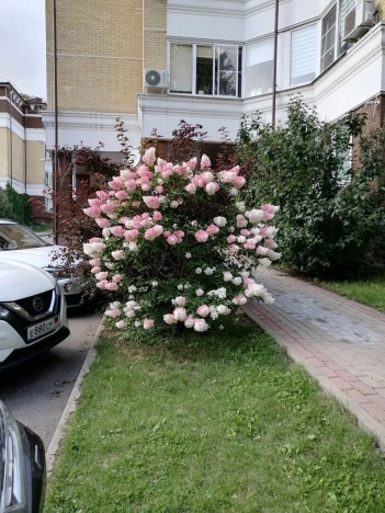 . Вариант № 41664, 26, площадь - 70.5 квм, цена 11000000 рублей