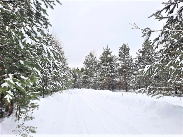 Купить земельный участок на улице Визитная в Владимире. Вариант № 1542, 0, площадь -  квм, цена 1415700 рублей