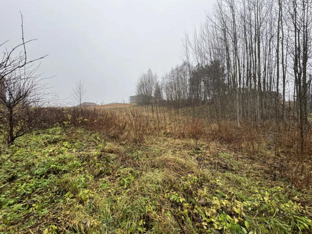 Купить земельный участок в Санкт-Петербурге. Вариант № 8744199, 1, площадь -  квм, цена 10700000 рублей