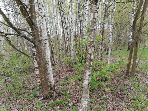 Купить земельный участок в Судогде. Вариант № 39125, 2, площадь -  квм, цена 390000 рублей