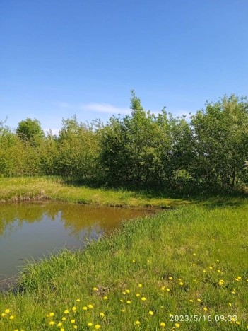 Купить земельный участок в Вязниках. Вариант № 2330, 38, площадь -  квм, цена 1925000 рублей