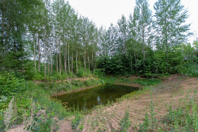 Купить земельный участок на улице Песочная в Ивановской области. Вариант № 12136, 15, площадь -  квм, цена 6110000 рублей