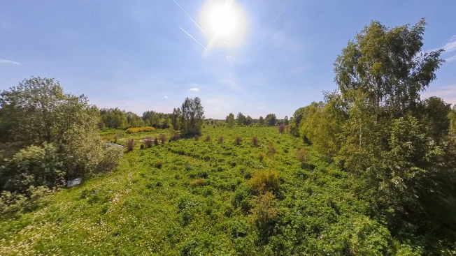 Купить земельный участок в Гусь-Хрустальном. Вариант № 7099, 41, площадь -  квм, цена 2700000 рублей