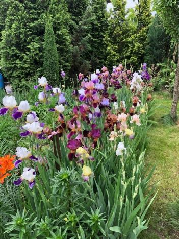 Купить дом в Москве. Вариант № 9199617, 35, площадь - квм, цена 10990000 рублей